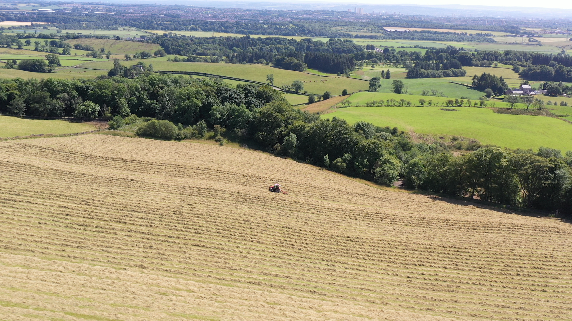 Free events to help create farm woodlands
