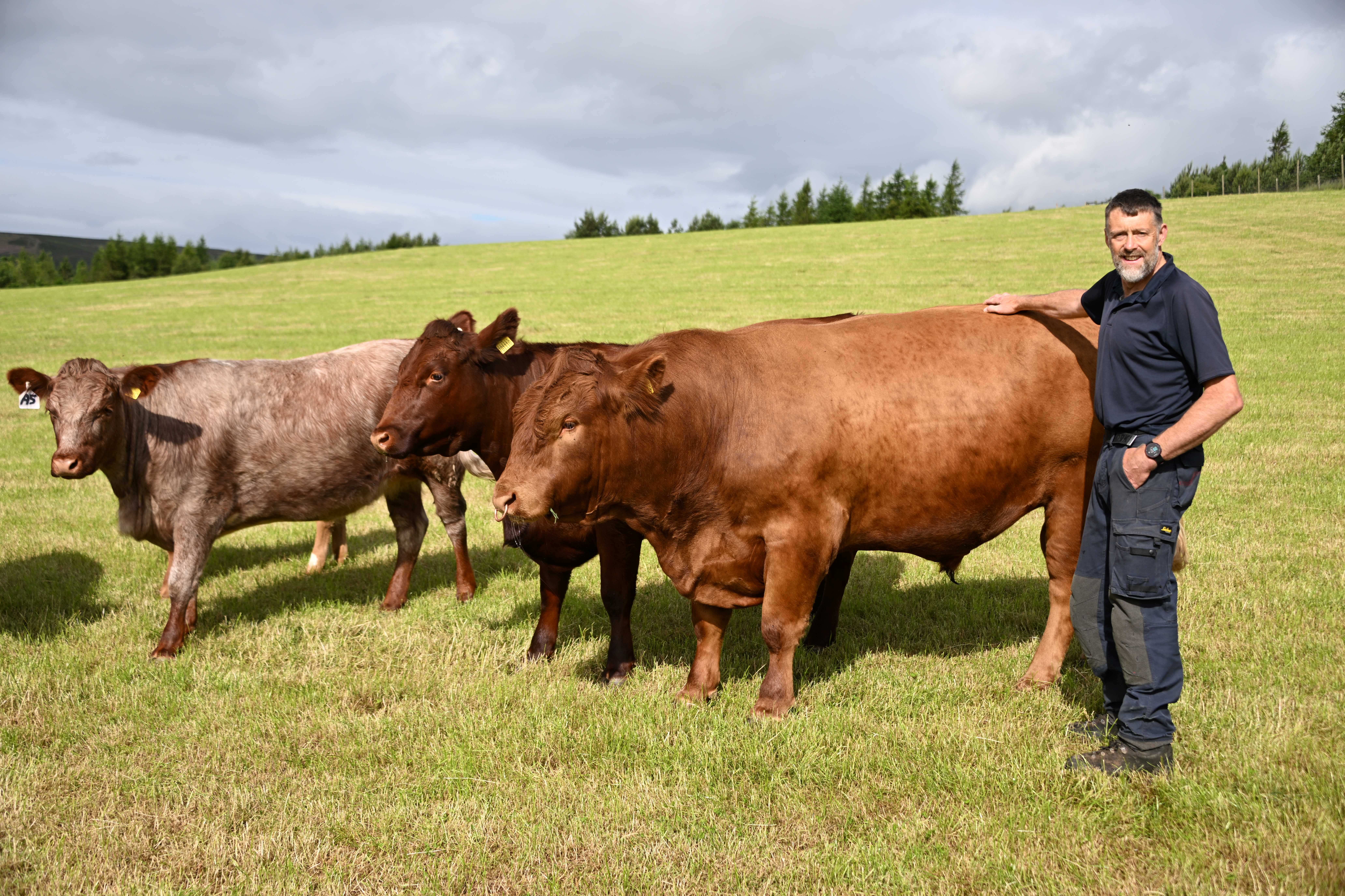 Farmers invited to two tree planting events