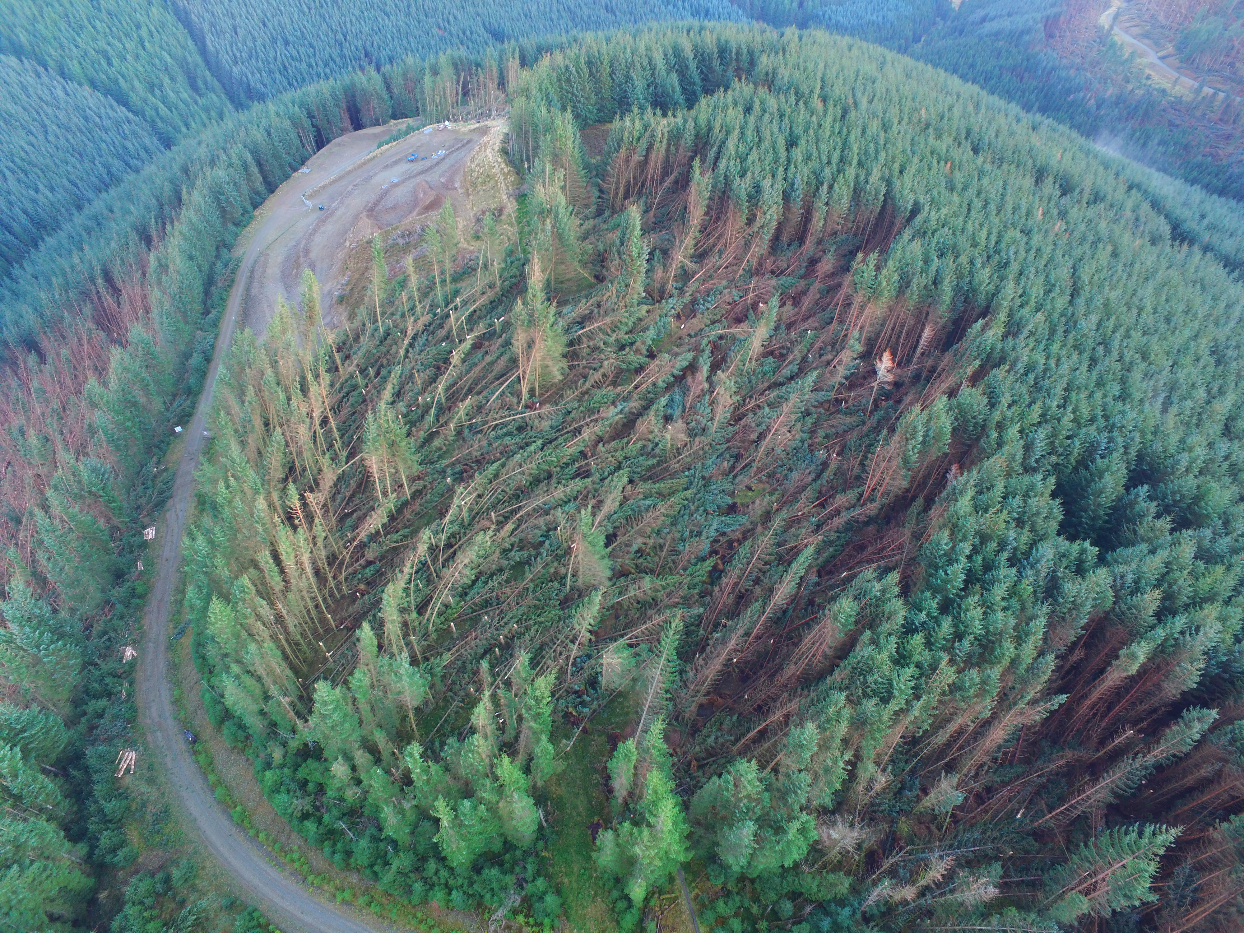 Forestry team effort over storms is “admirable” says Minister