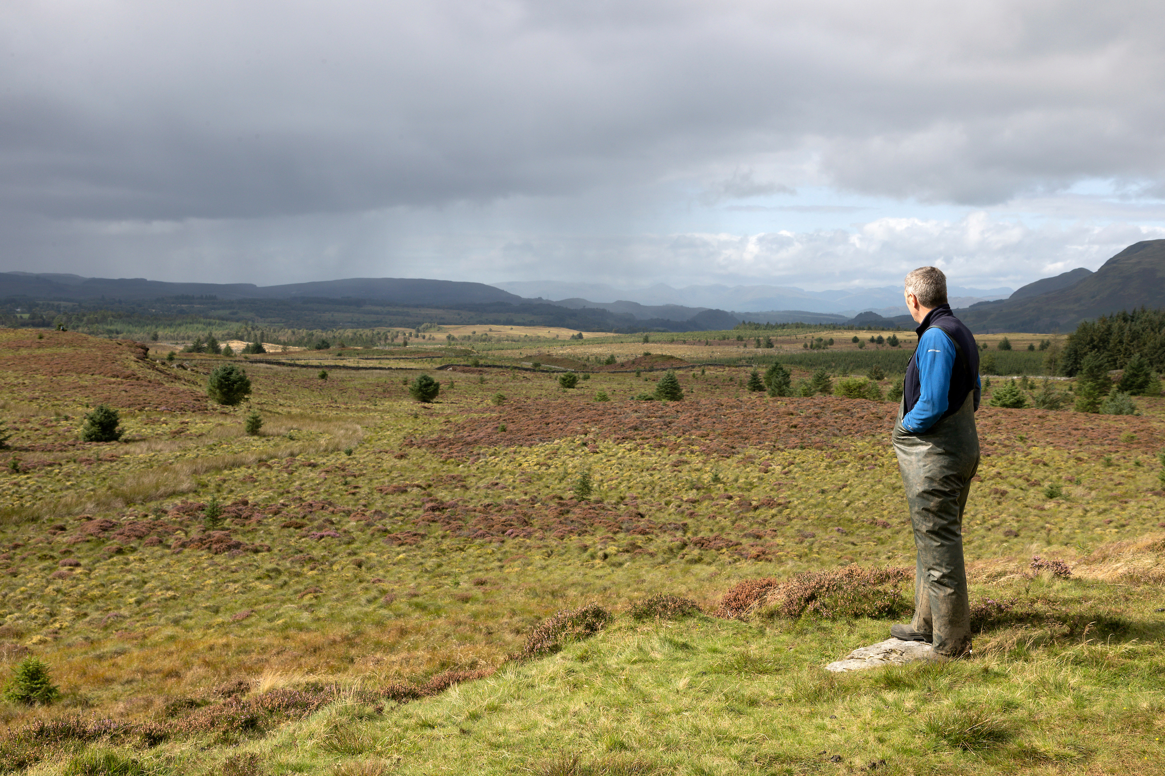Imries Planting site Perthshire Picture Agency