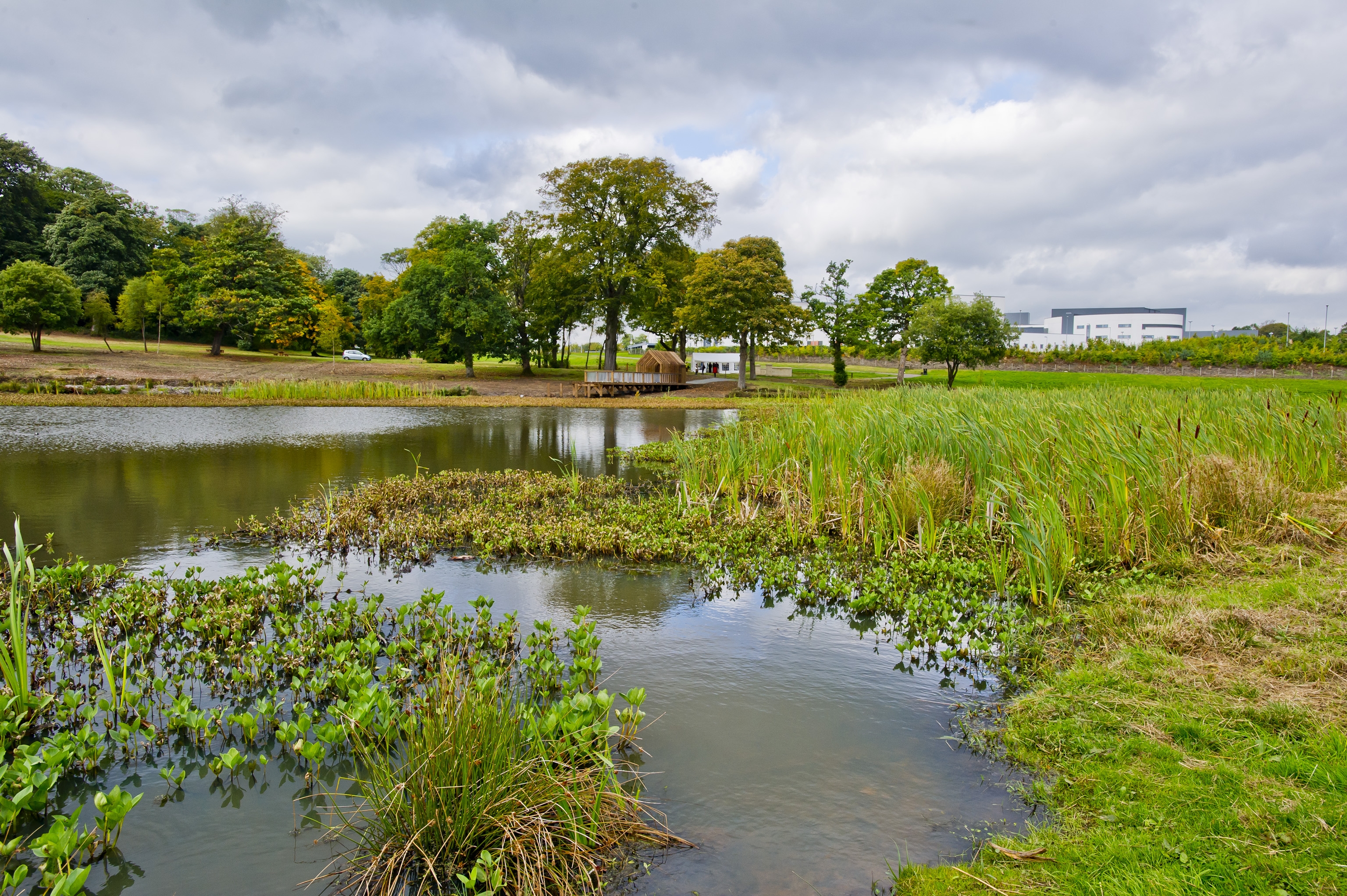 Larbert Woodlands