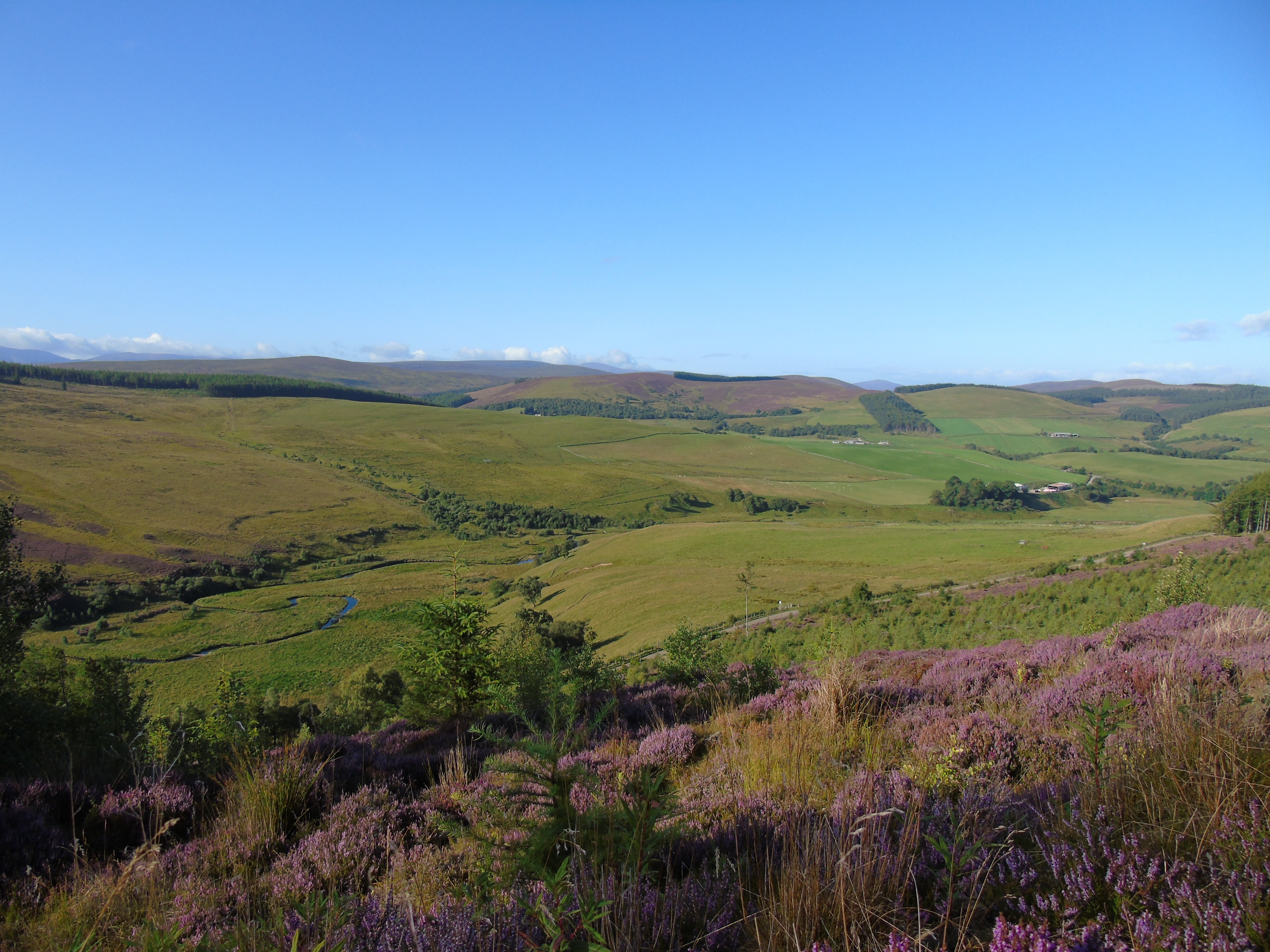 Helping tenant farmers grow trees for their business