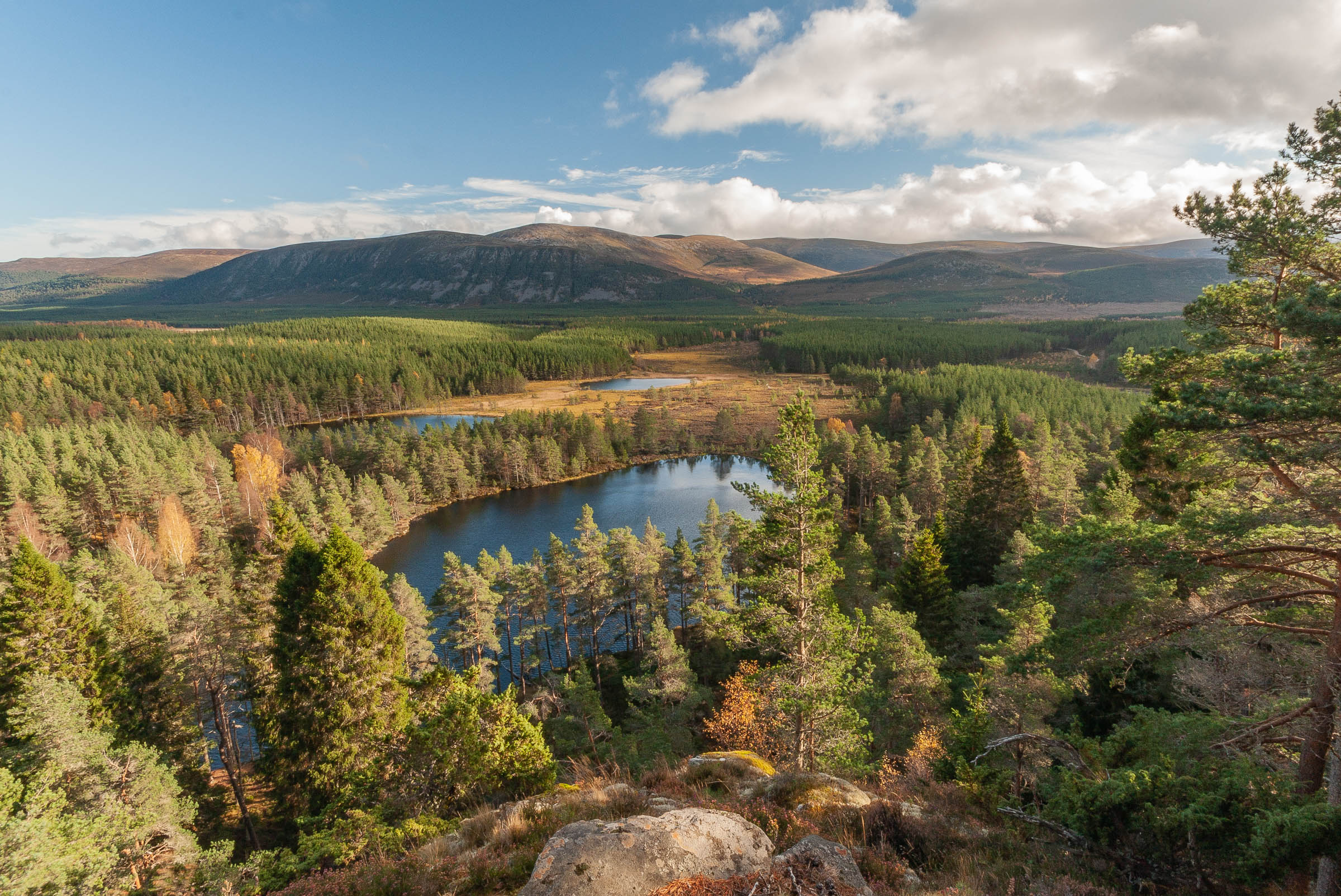 Strathspey overview FLS