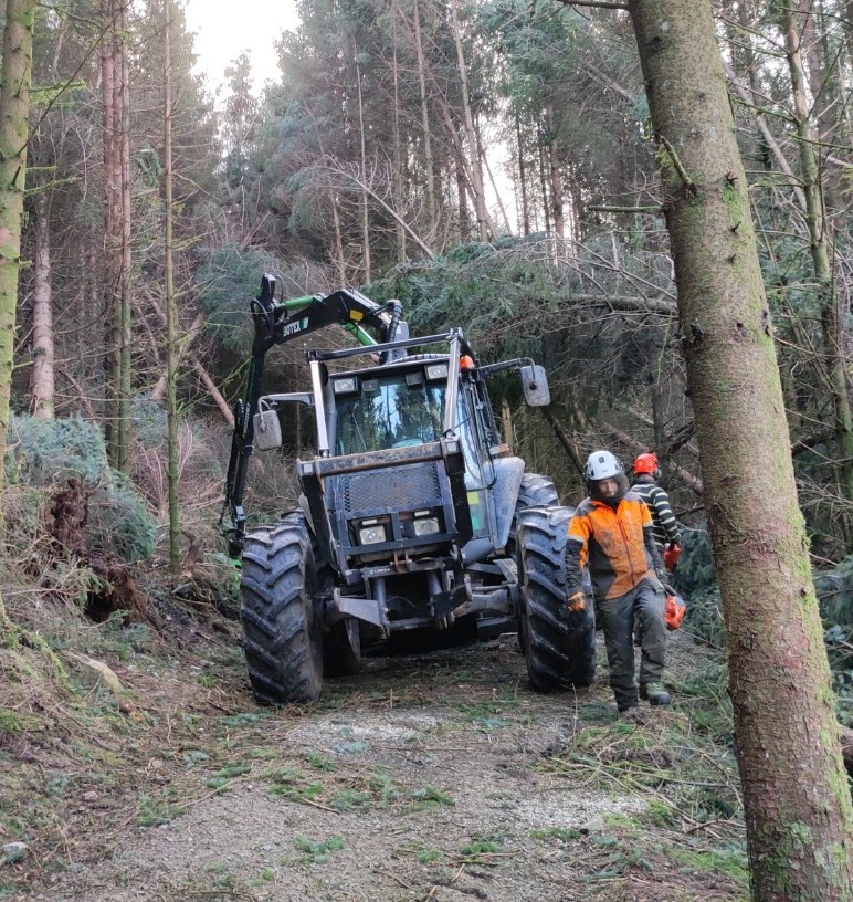 Working group will help small woodland owners