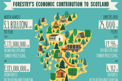 Forestry Business